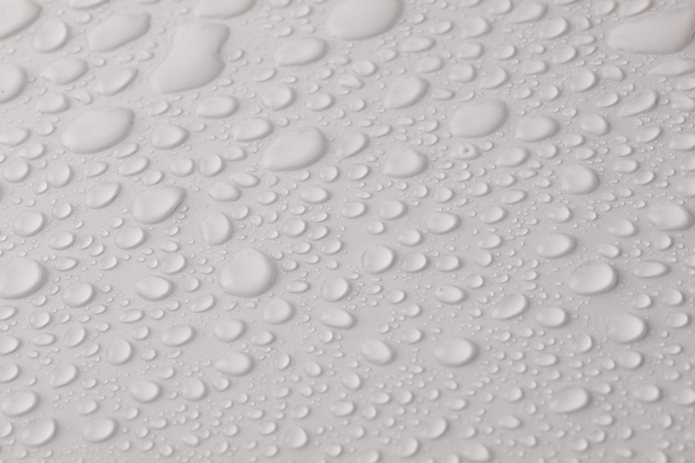 An 8-Step Guide To The Professional Mold Removal Process