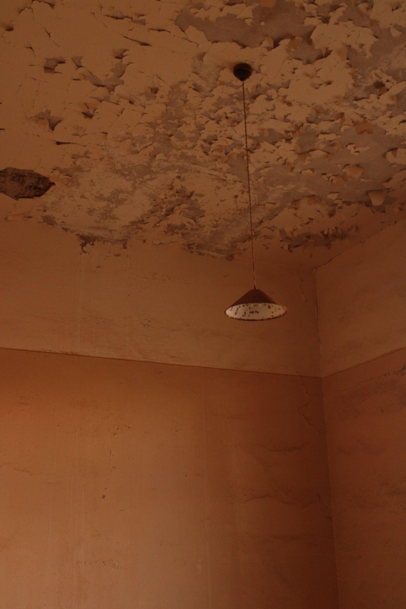 The Ultimate Guide To Mold