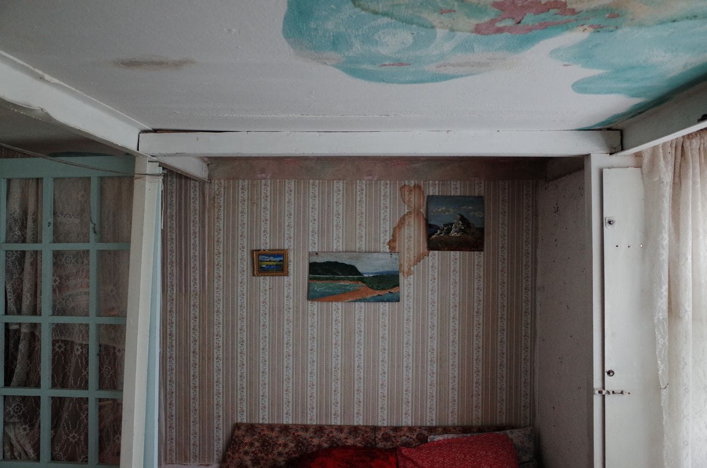 Where Does Mold Grow Indoors?