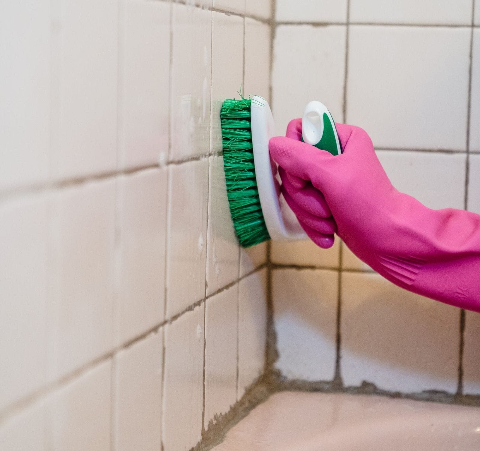Mold Removal